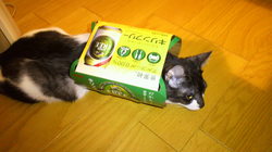 P1000007.jpg